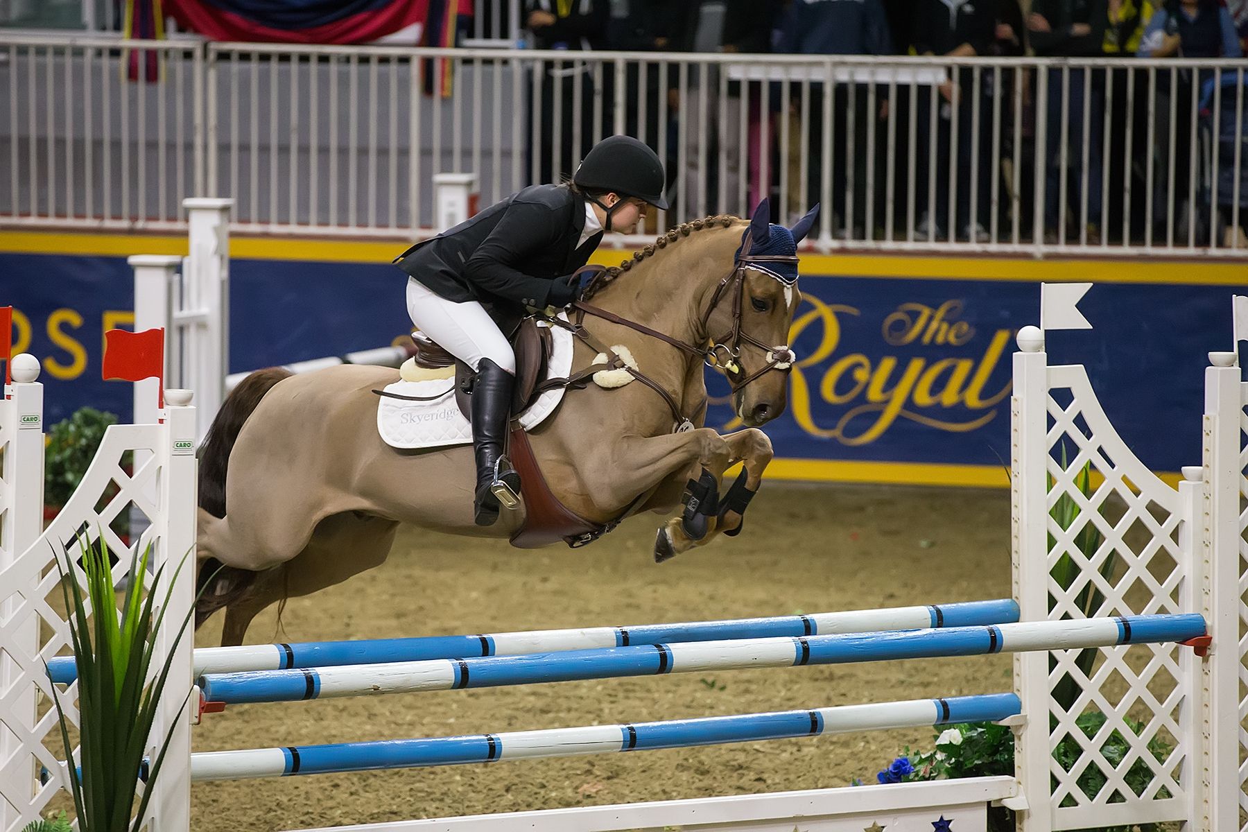Laura Robertson Tops 5000 Royal Pony Jumper Final At 2015 Royal Horse