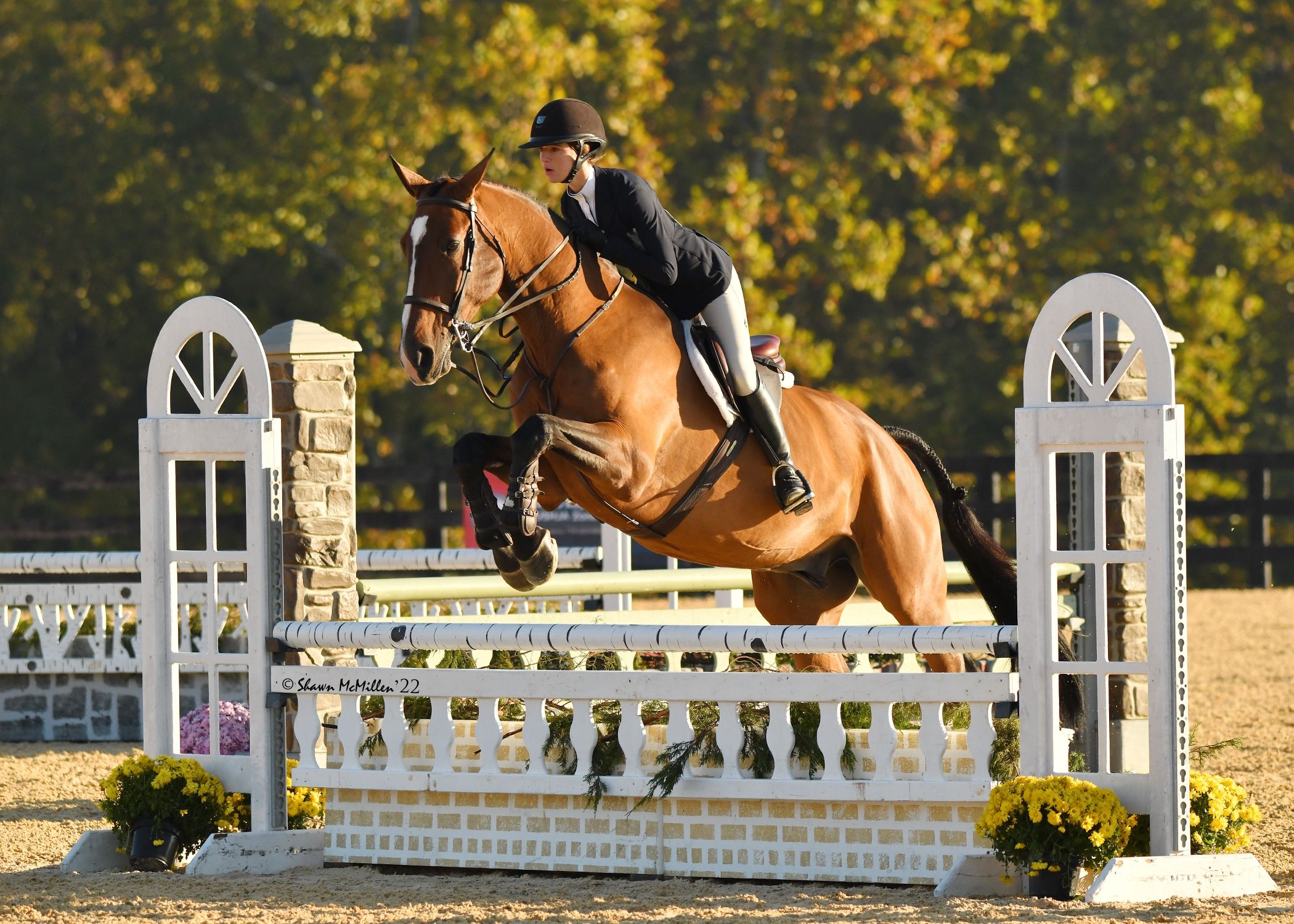 Equestrians Rise to the Occasion at the 2022 WIHS Regional Horse