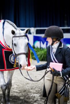 WIHS Reimagined: A 2020 Take on #HorsesintheCity