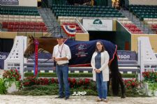 Duke of Argyll Receives 2022 Annual Connaway & Associates High Point American-Bred Horse Award at the Capital Challenge Horse Show