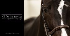 Save the Date for the Return of All for the Horses Expo at World Equestrian Center – Ocala 