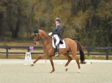 Anna Marek and Fayvel Produce Grand Prix Win at World Equestrian Center February Dressage CDI3*