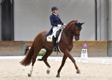 World Equestrian Center – Ocala Welcomes Back Dressage for Hampton Green Farms July National Competition Presented by Lugano Diamonds