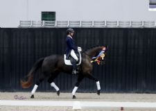 German Influence Runs Deep at Two USDF Regional Championship Shows