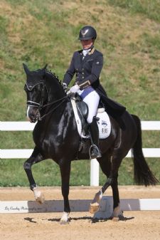 Half-Percheron Bags a Triple of Big Tour Titles at USDF Region 4 Championship, Lauren Chumley Takes Three in Region 1