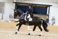 Half-Percheron Bags a Triple of Big Tour Titles at USDF Region 4 Championship, Lauren Chumley Takes Three in Region 1