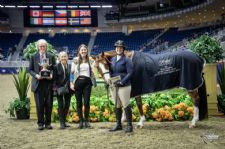 Sarah Barker’s Cheers Named Amateur Working Hunter Grand Champion at Toronto’s Royal Horse Show