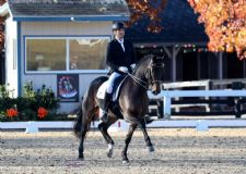 Final Countdown for the 2024 US Dressage Finals, Presented by Adequan®