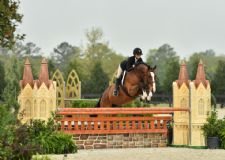 Hunter Highlights for 2025 Winter Spectacular Show Series at World Equestrian Center – Ocala