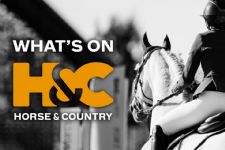 What's on H&C: February Edition