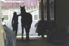 Why We Need an Equine SafeSport Program, plus donating a horse to a college program