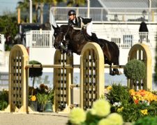 Nicola Philippaerts Wins Again as Competition Heats Up for Longines League of Nations™ Ocala