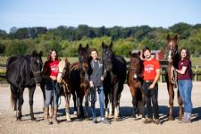 Adopt a Horse Month, Support New Arrivals, Summer Intern Opportunity, Charity Golf, and More From Days End Farm Horse Rescue