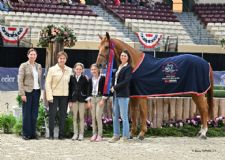 Enter July 29 for the Connaway & Associates North American-Bred Horse Award at the 2025 Capital Challenge Horse Show