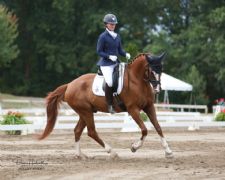 2025 USDF Regional Championship Season Gets Underway With a Triumphant Trio for ‘Scratch and Dent’ Horse Enthusiast Jennifer Roth