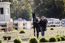 WIHS Hospitality: Four Great Ways To Enjoy the 2025 Washington International Horse Show
