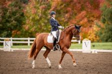 Fantastic Five for Nadine Schwartsman at 2025 USDF Regionals as Qualification for Finals Draws to a Close