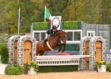 Young Mare Wins High Point Award, Insurance Guidance for Your Business, Latest Podcast Episode and ExEL Award Winners