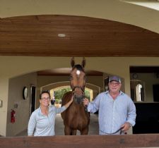 Learn About CEM Quarantine, Protect Your Horse From Shipping Fever, and More!