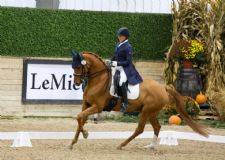 Four Fresh Champions Crowned on Opening Day of 2025 US Dressage Finals at WEC – Wilmington