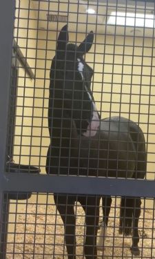 G6's Road to Recovery, Intern Q&A, and More!