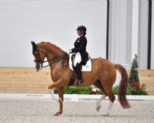 WEC February Dressage CDI3* Opens with Victories for Kelly-Baxley and Davis