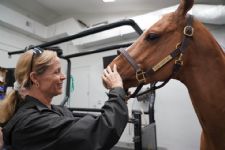 Dr. Timmins Marks 30 Years, New World Screwworm, Meet a PBEC Intern