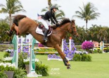Leone Equestrian Law Newsletter: Why Jumping Should Return to Its Literal Grass Roots